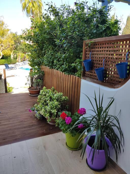 Rachel Suite By The Pool Paphos Ngoại thất bức ảnh