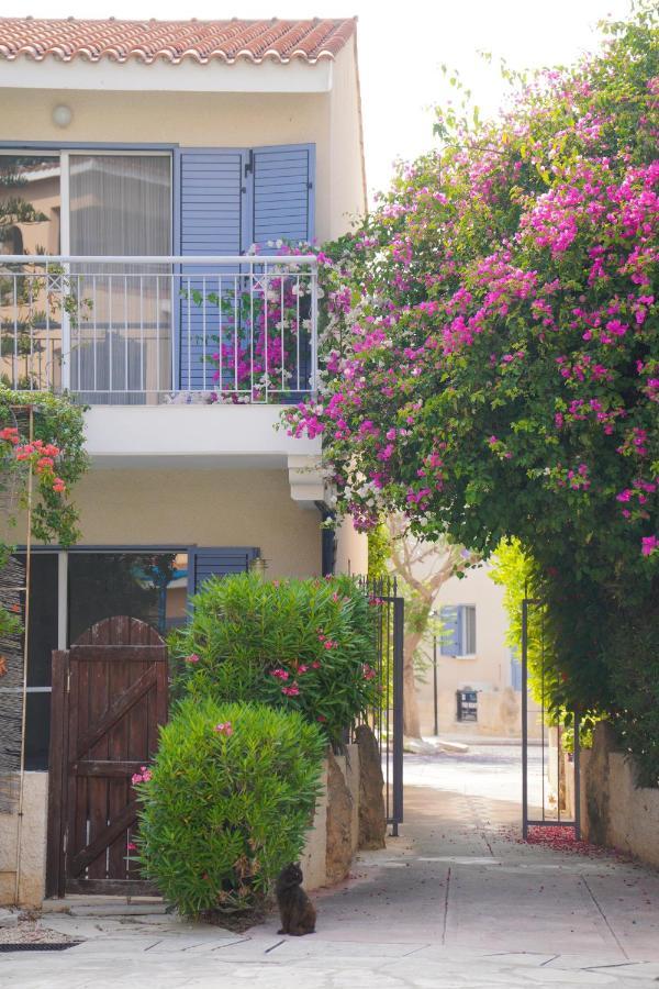 Rachel Suite By The Pool Paphos Ngoại thất bức ảnh